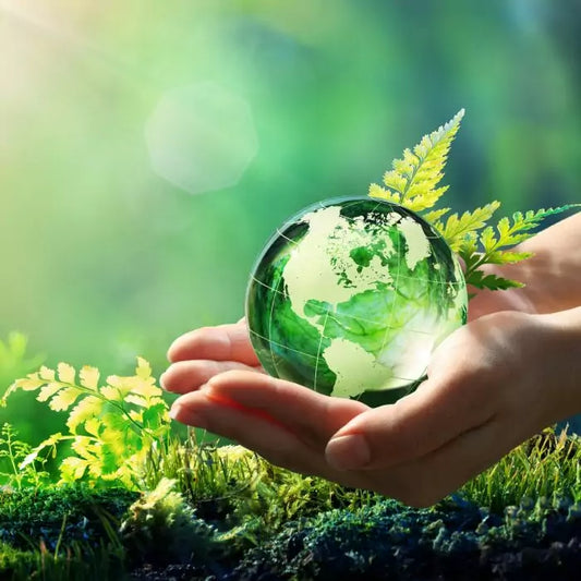 Comment l'utilisation du CBD peut-elle contribuer à la durabilité environnementale ?