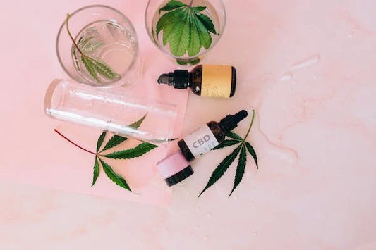Le CBD peut-il aider à gérer la douleur chronique chez les animaux de compagnie ?