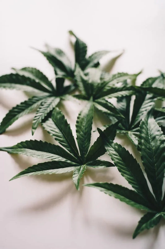 Les cosmétiques au CBD sont-ils légaux dans tous les pays ?