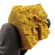 Résine "Mousseux Jaune" avec CBN – La P'tite Landaise