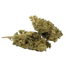 MANGO Green house CBD ++ ENRICHI 20 % Attention réservé aux éclairés