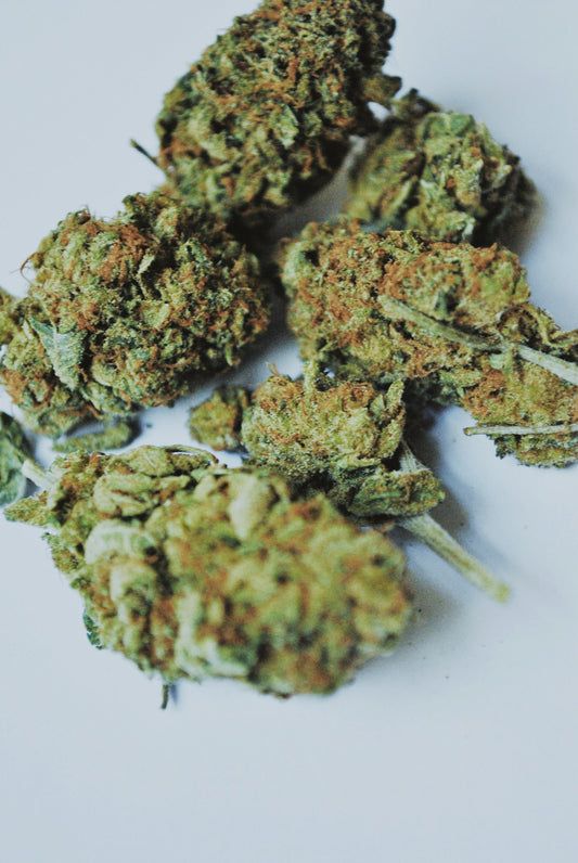 White Widow Classique, fleur de CBD