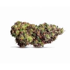 PINK LADY CBD Green house