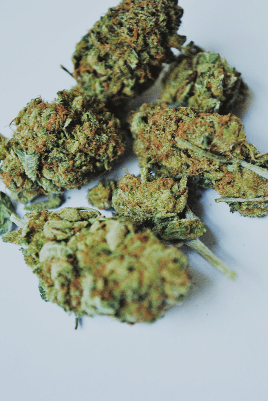 Fleurs CBD