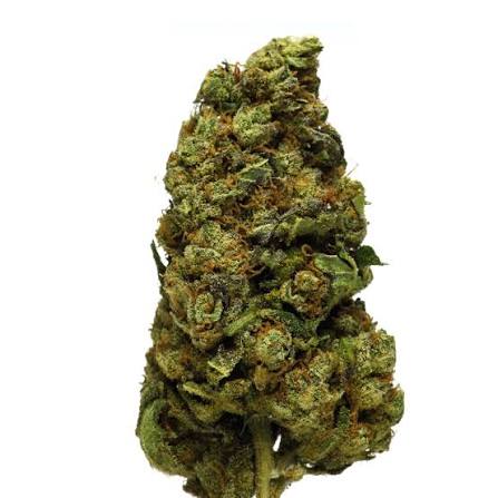 Jack Herer – Fleur HCE 30 %