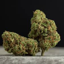 PINK LADY CBD Green house