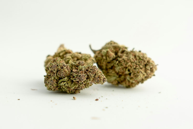 Lemon Pop – Fleur CBD 18 %