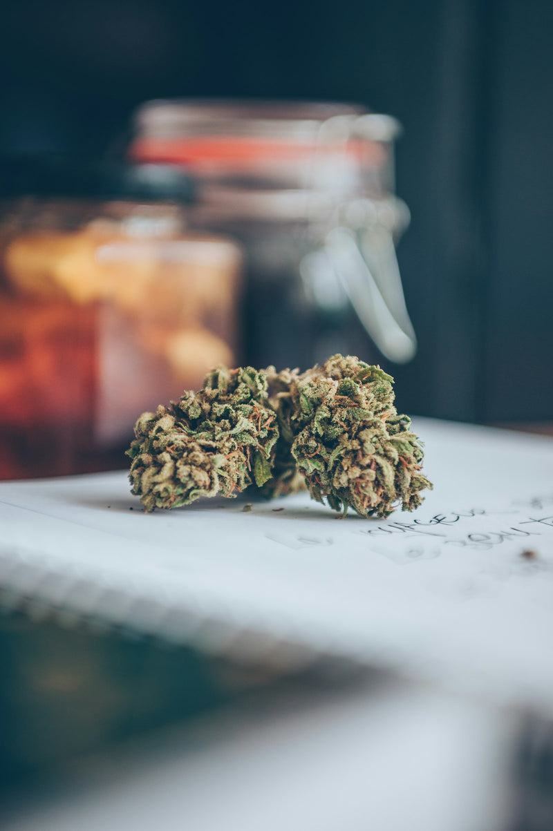Hawaiian Mango – Fleur HCE 20 %
