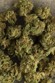 SUPER SKUNK POP GREEN HOUSE Fleur de CBD